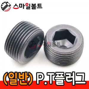 ▶ (일반) PT 플러그