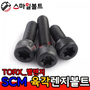 ▶ SCM - 별_렌지볼트 (TORX)