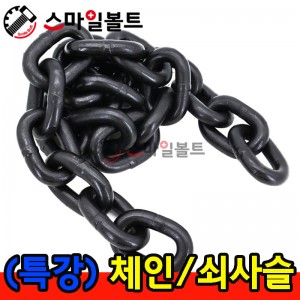 ▶ (특강) 체인